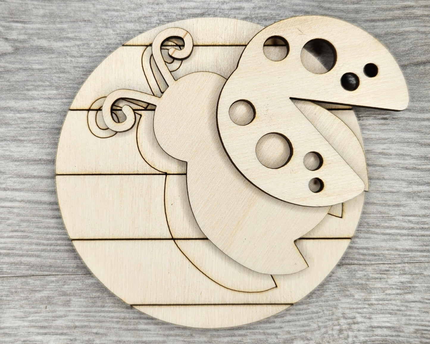 Lady Bug Round | #2606