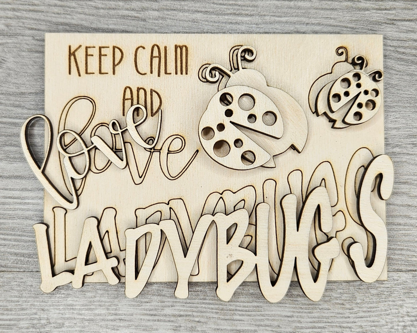 Lady Bug Decor | #2839
