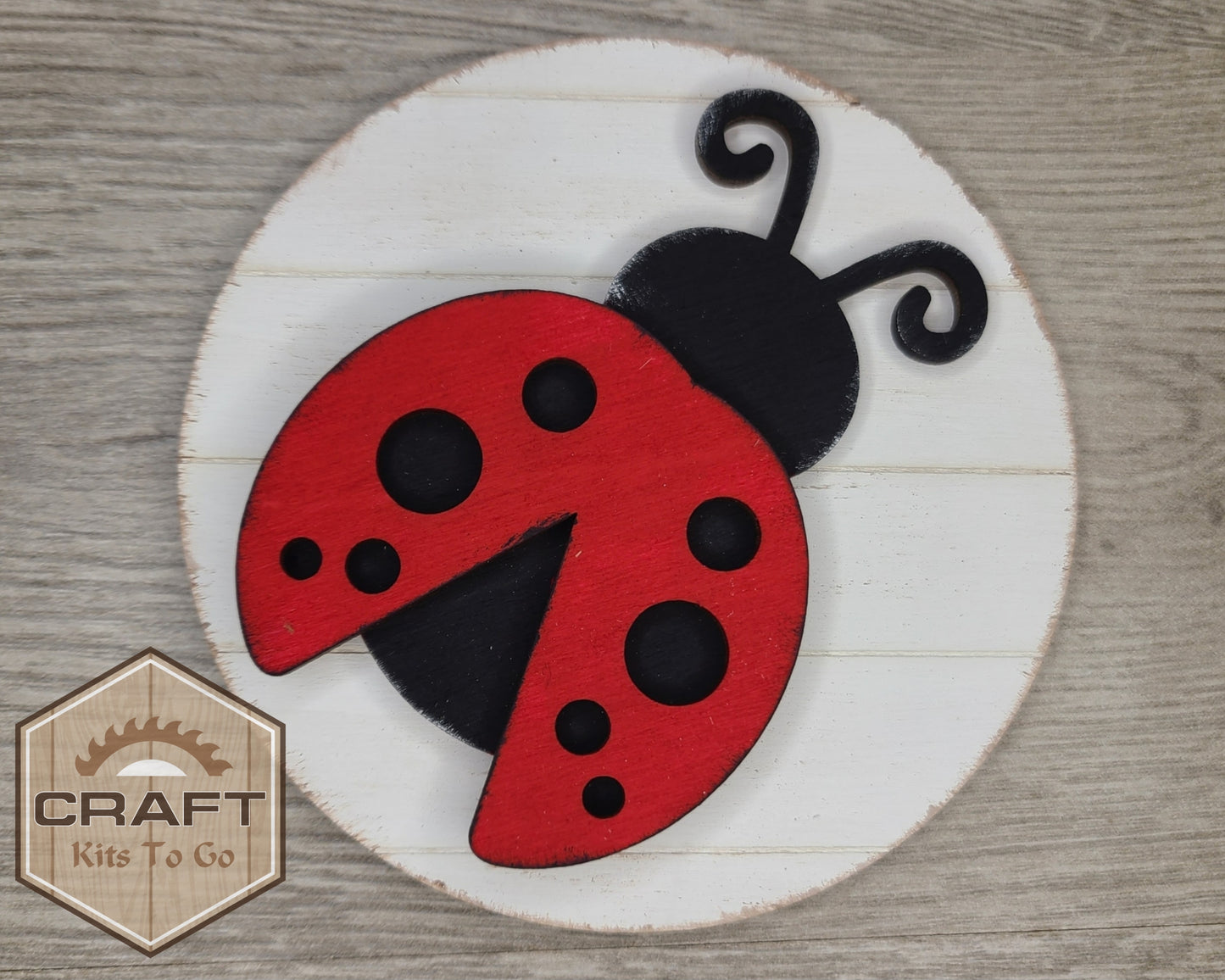 Lady Bug Round | #2606