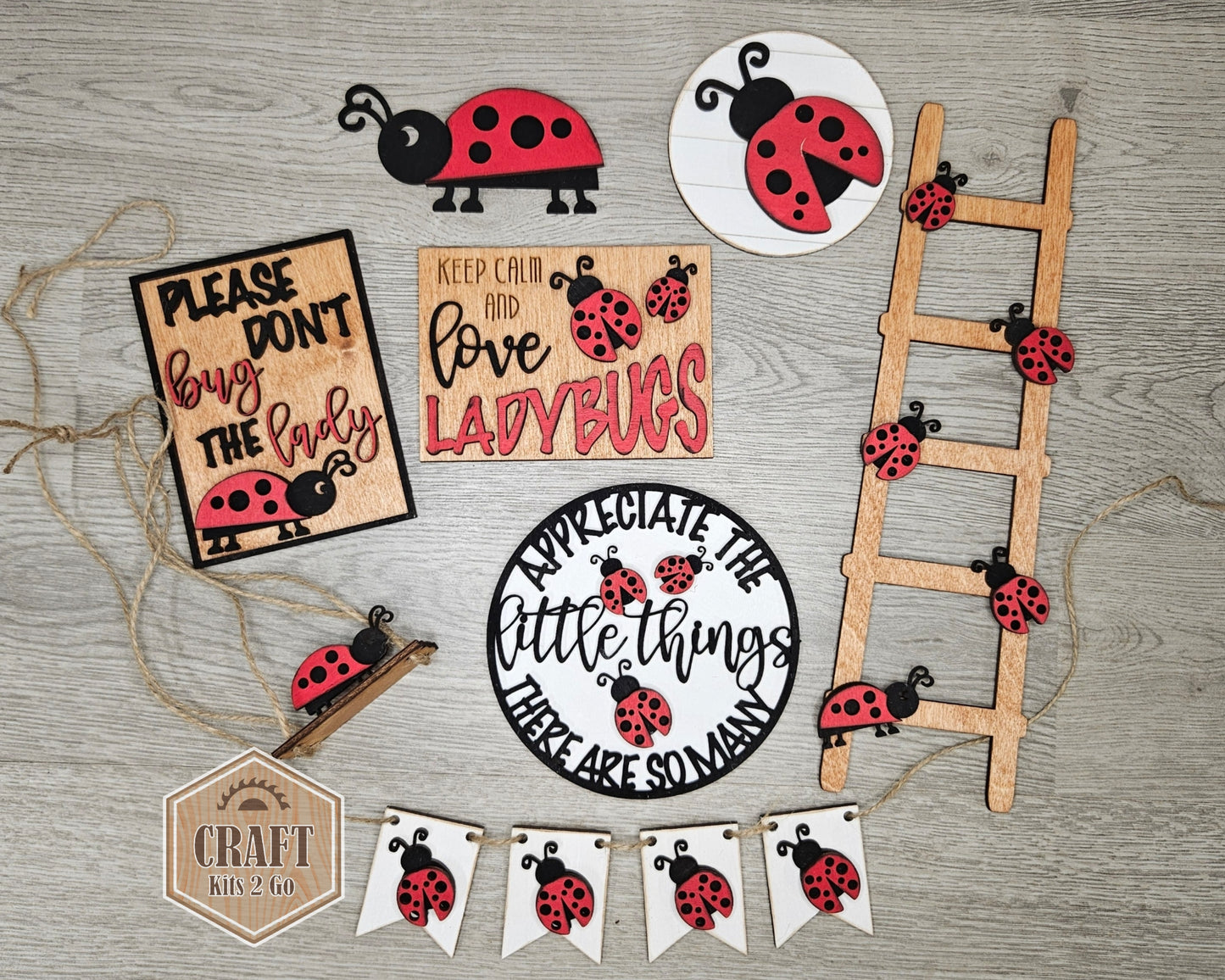 Lady Bug Decor | #2839