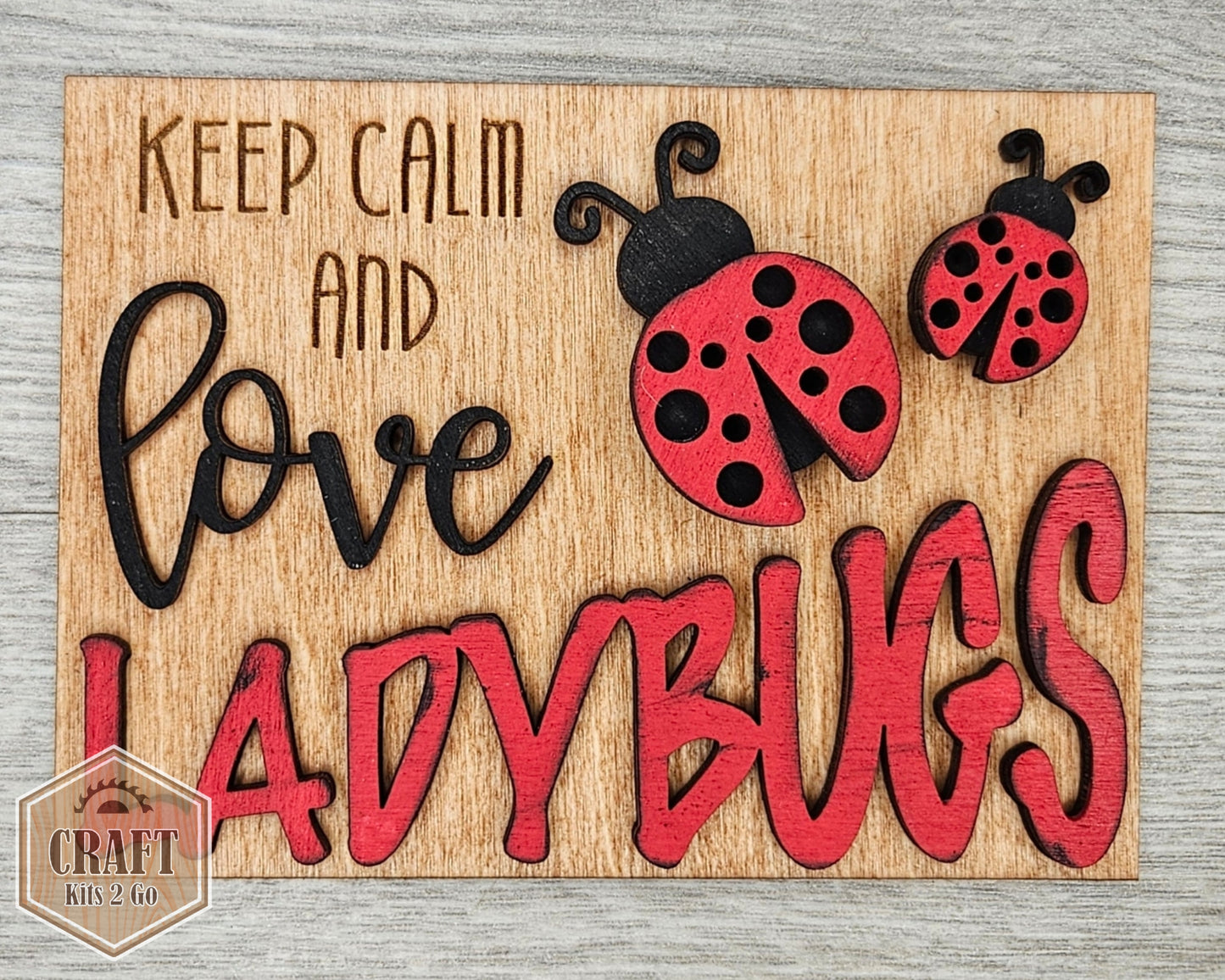 Lady Bug Decor | #2839