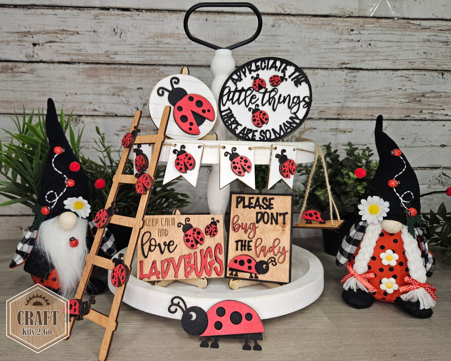 Lady Bug Round | #2606