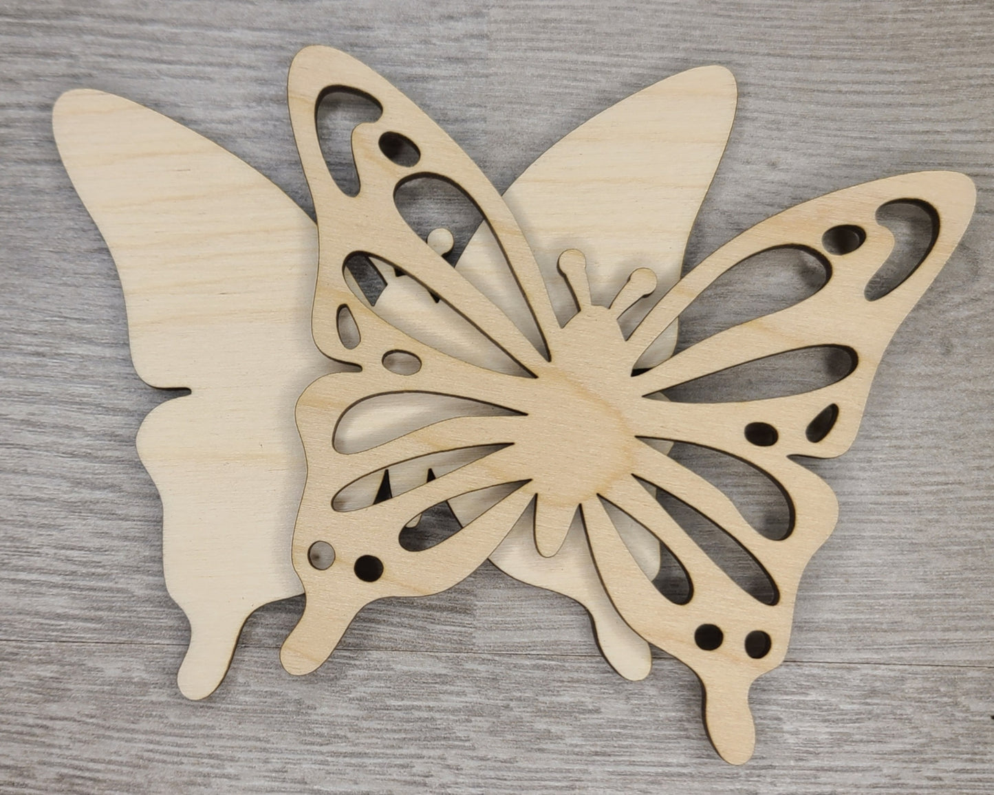 Butterfly | #2745