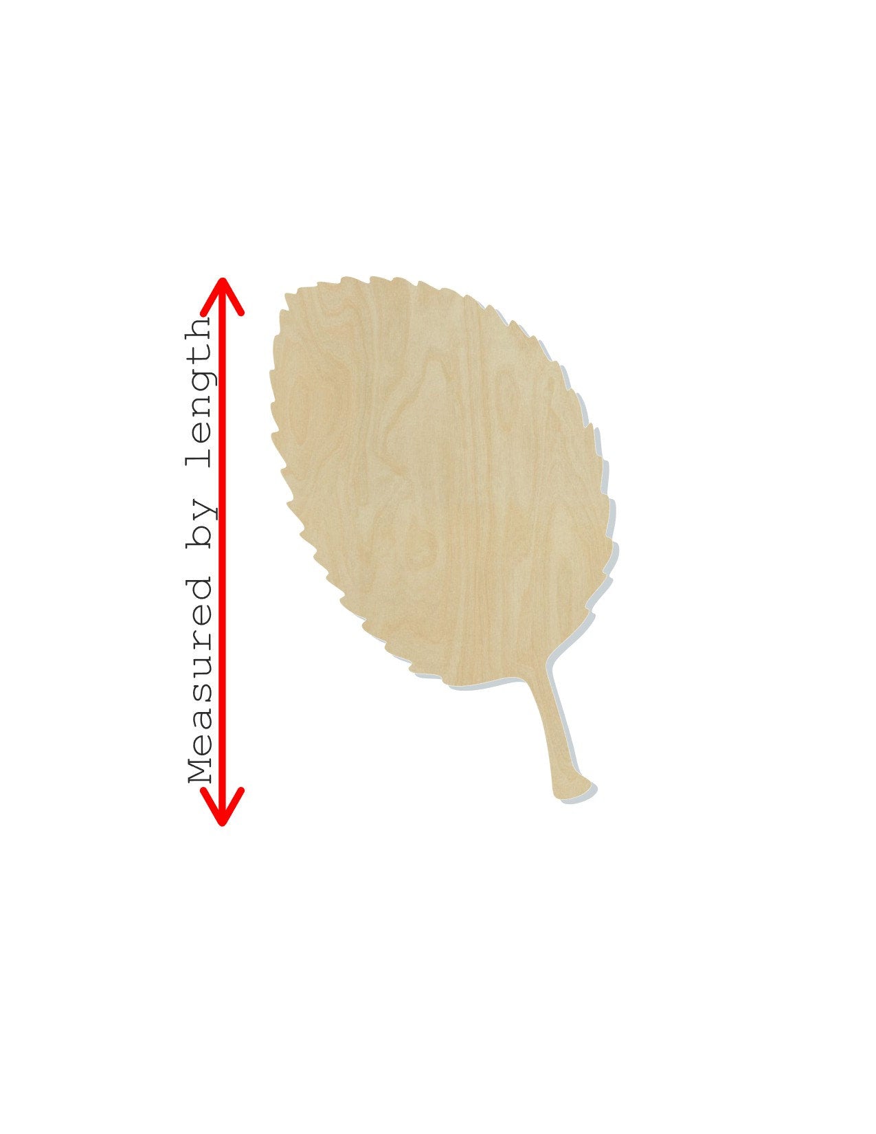 Apple Leaf Fall colors Fall Leaves wood blank cutout Autumn time #1164 - Multiple Sizes Available - Unfinished Wood Cutout Shapes