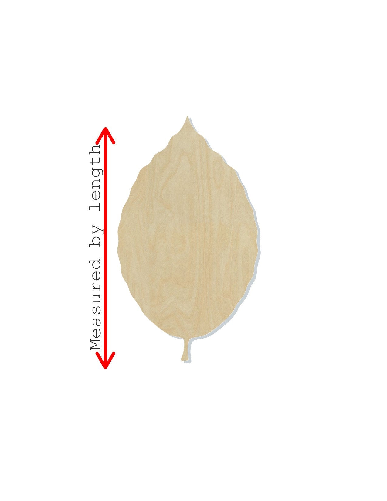 Beech Leaf Wood Cutout blank Fall Colors Fall leaves Fall time #1174 - Multiple Sizes Available - Unfinished Wood Cutout Shapes