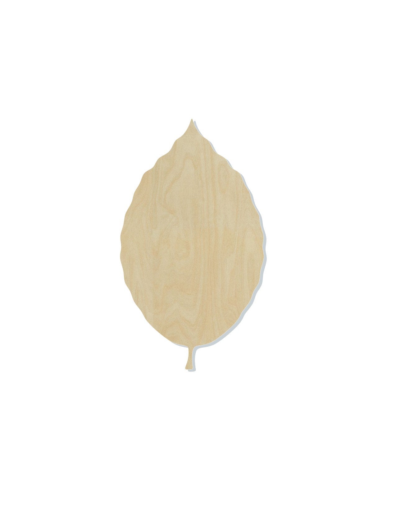 Beech Leaf Wood Cutout blank Fall Colors Fall leaves Fall time #1174 - Multiple Sizes Available - Unfinished Wood Cutout Shapes