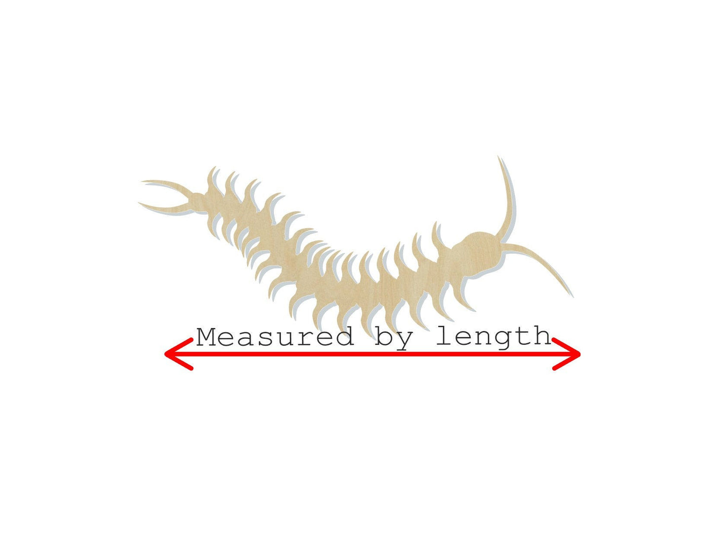 Centipede blank wood cutouts Animal cutouts Animal Blank Farm #1275 - Multiple Sizes Available - Unfinished Wood Cutout Shapes