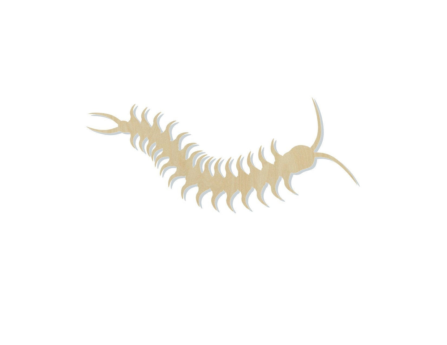 Centipede blank wood cutouts Animal cutouts Animal Blank Farm #1275 - Multiple Sizes Available - Unfinished Wood Cutout Shapes
