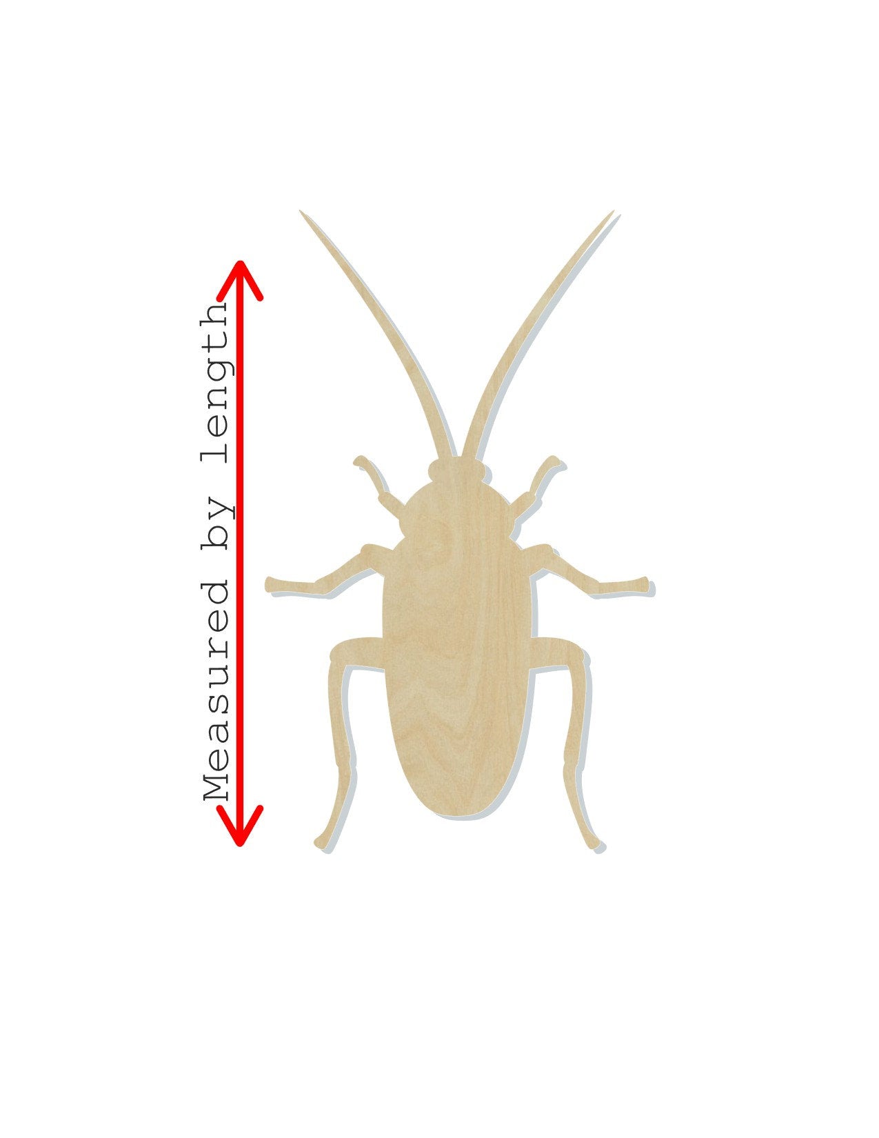 Cockroach DIY Paint kit Bugs animal cutouts Household #1340 - Multiple Sizes Available - Unfinished Cutout Shapes