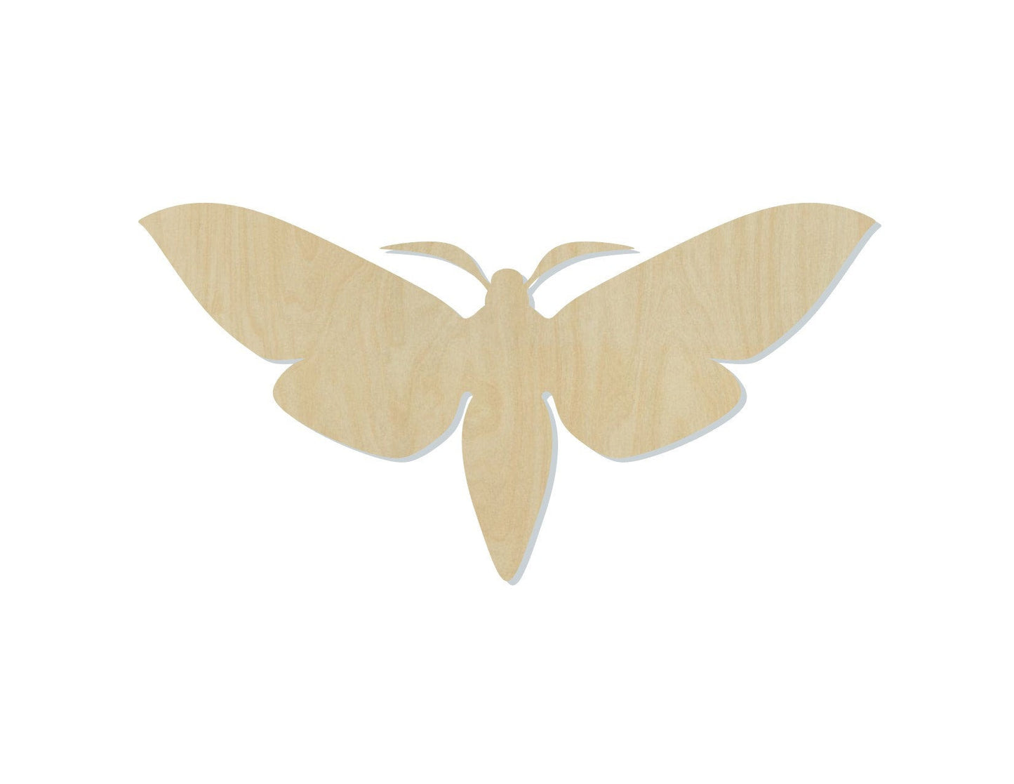 Moth wood shape wood cutouts bugs DIY Paint kit #1760 - Multiple Sizes Available - Unfinished Wood Cutout Shapes