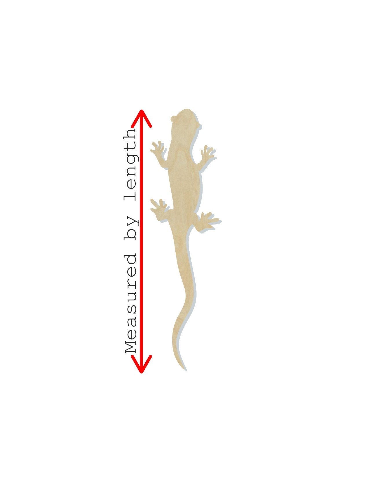 Salamander wood shape wood cutouts #1948 - Multiple Sizes Available - Unfinished Wood Cutout Shapes