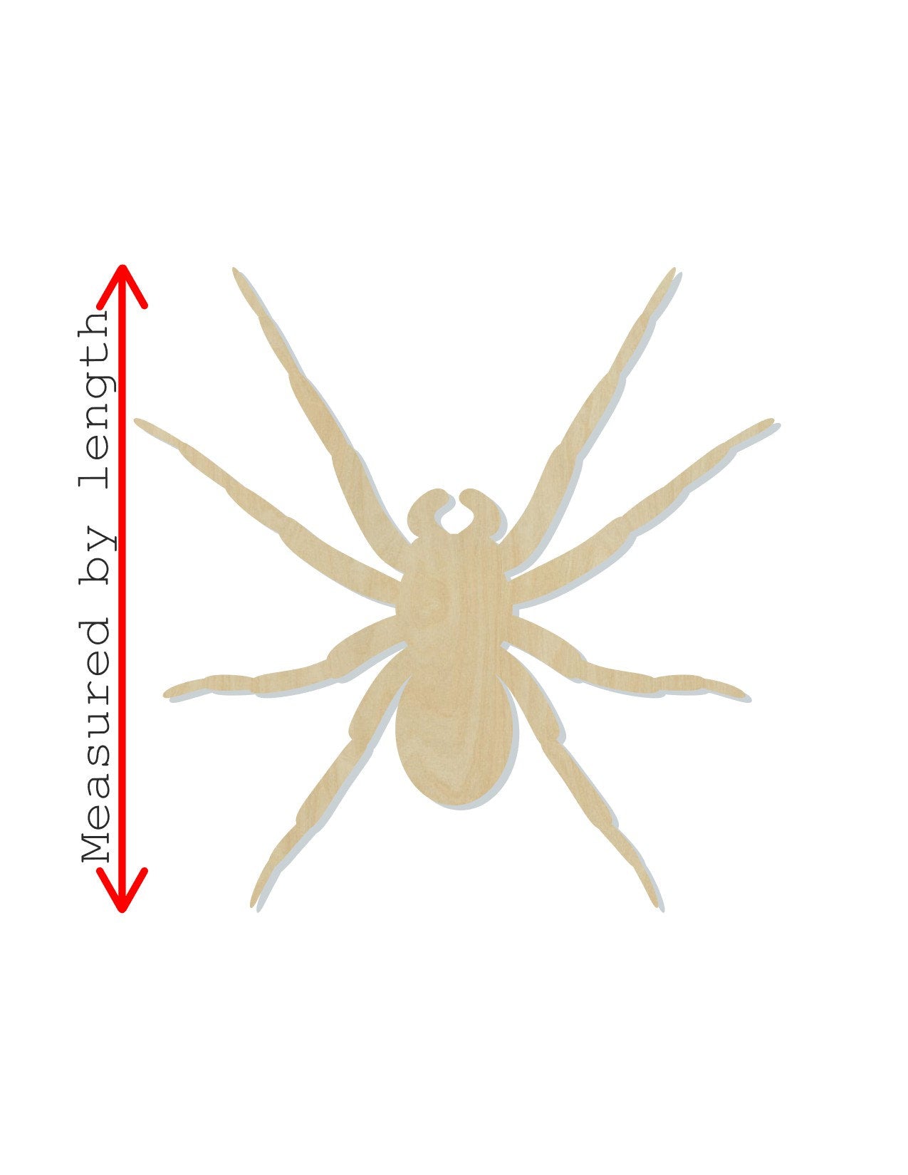 Spider wood shape wood cutouts DIY Paint kit Halloween craft Bugs #2041 - Multiple Sizes Available - Unfinished Wood Cutout Shapes