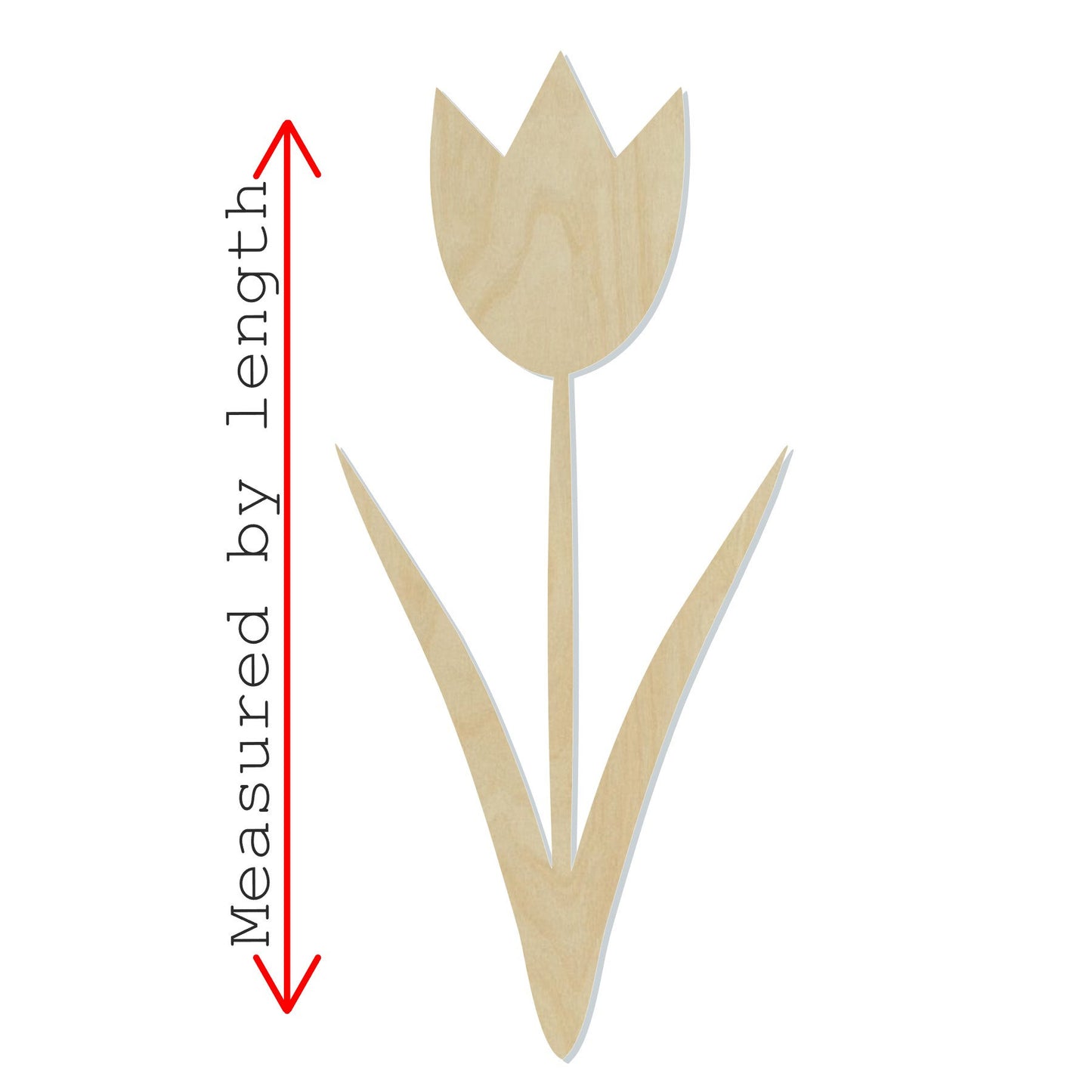 Tulip Blank garden flowers Tulip Cutout #1096 - Multiple Sizes Available - Unfinished Wood Cutout Shapes