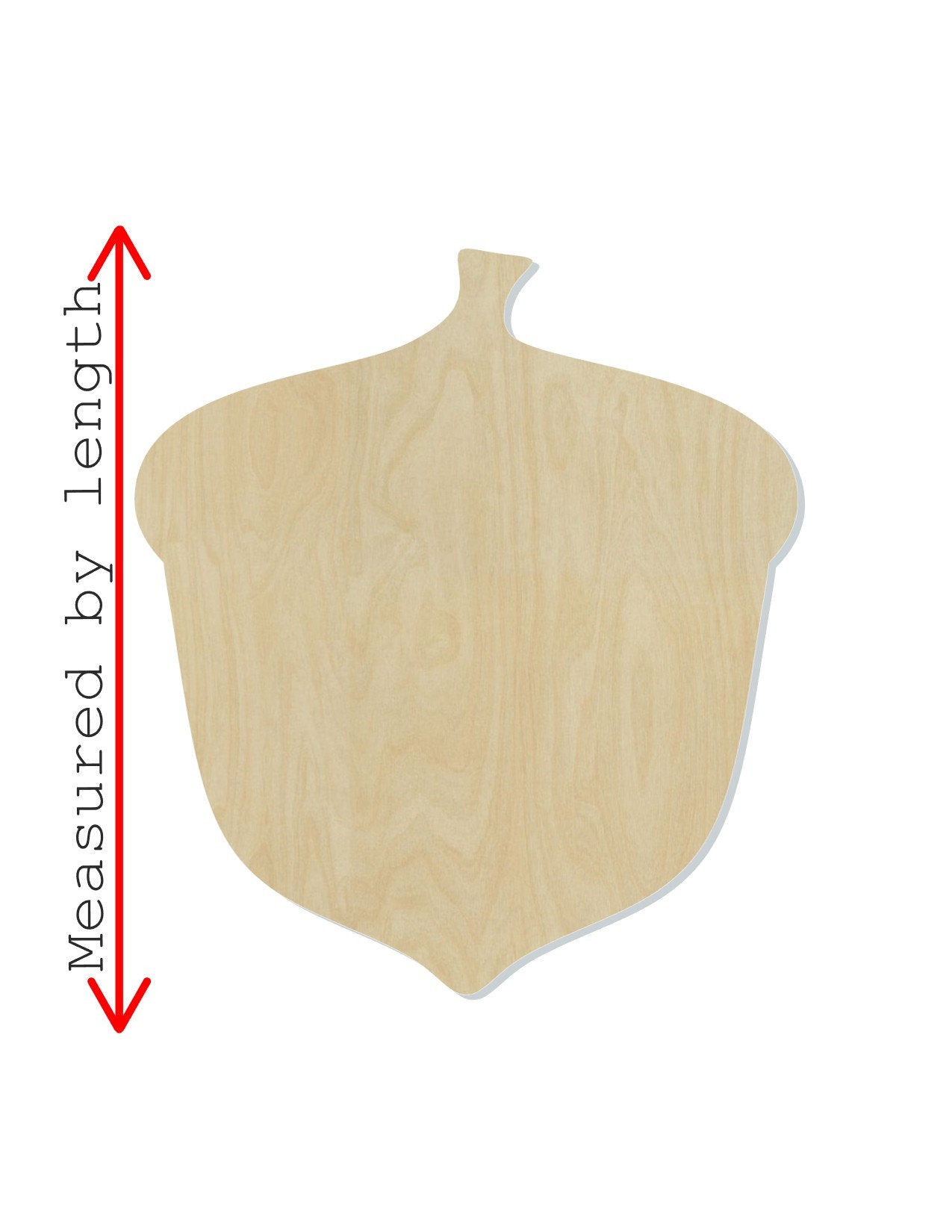 Acorn Blank Fall Fall colors fall leaves Falltime #1114 - Multiple Sizes Available - Unfinished Wood Cutout Shapes