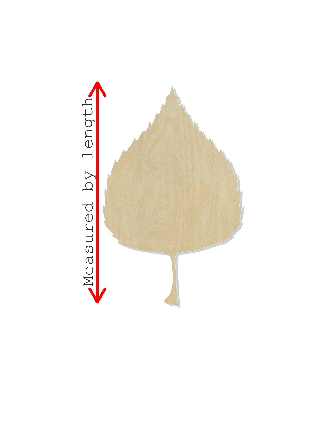 Birch Leaf Wood blank cutouts Fall colors Fall Leaves Fall time winter paint kit #1297 - Multiple Sizes Available - Unfinished Cutout Shapes