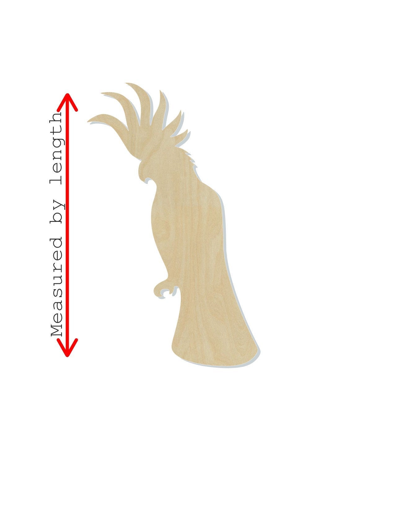 Cockatoo Bird cutouts wood blanks Animal cutouts zoo animals Flying birds, DIY #1346 - Multiple Sizes Available - Unfinished Cutout Shapes