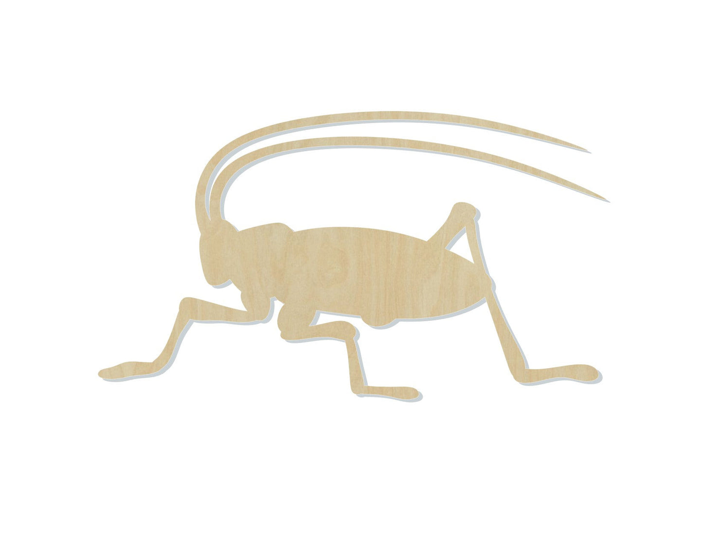 Cricket cutout bugs DIY paint kit Paint yourself zoo animals #1393 - Multiple Sizes Available - Unfinished Cutout Shapes