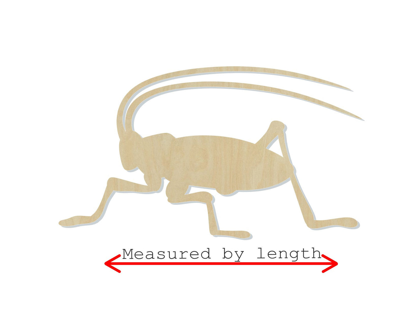 Cricket cutout bugs DIY paint kit Paint yourself zoo animals #1393 - Multiple Sizes Available - Unfinished Cutout Shapes