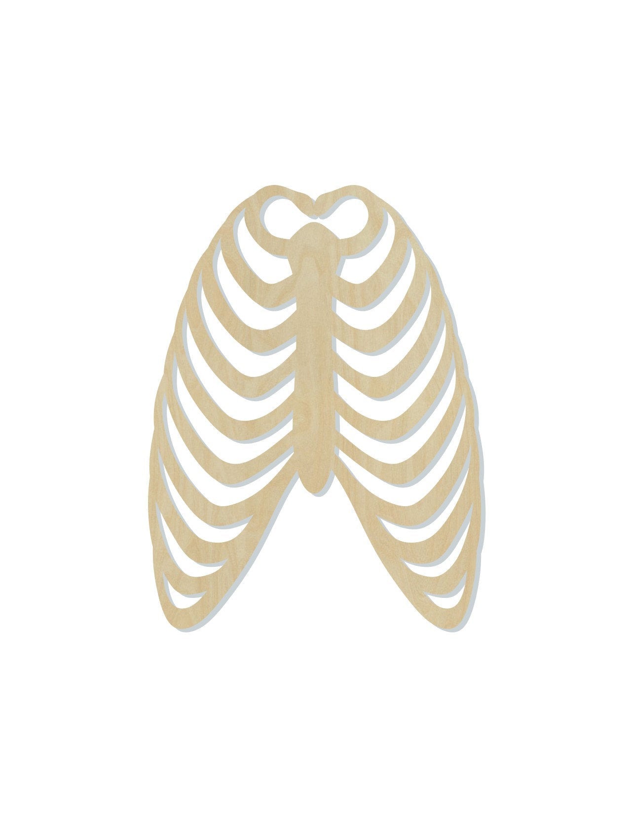 Rib Cage wood shape wood cutouts Science DIY Paint kit #1926 - Multiple Sizes Available - Unfinished Wood Cutout Shapes