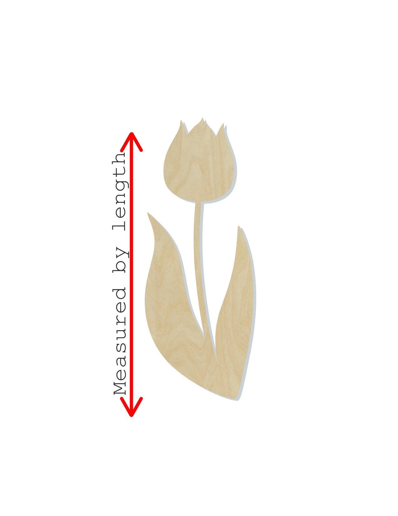 Tulip Wood Cutouts blank garden flowers paint kit DIY #2141 - Multiple Sizes Available - Unfinished wood Cutout Shapes