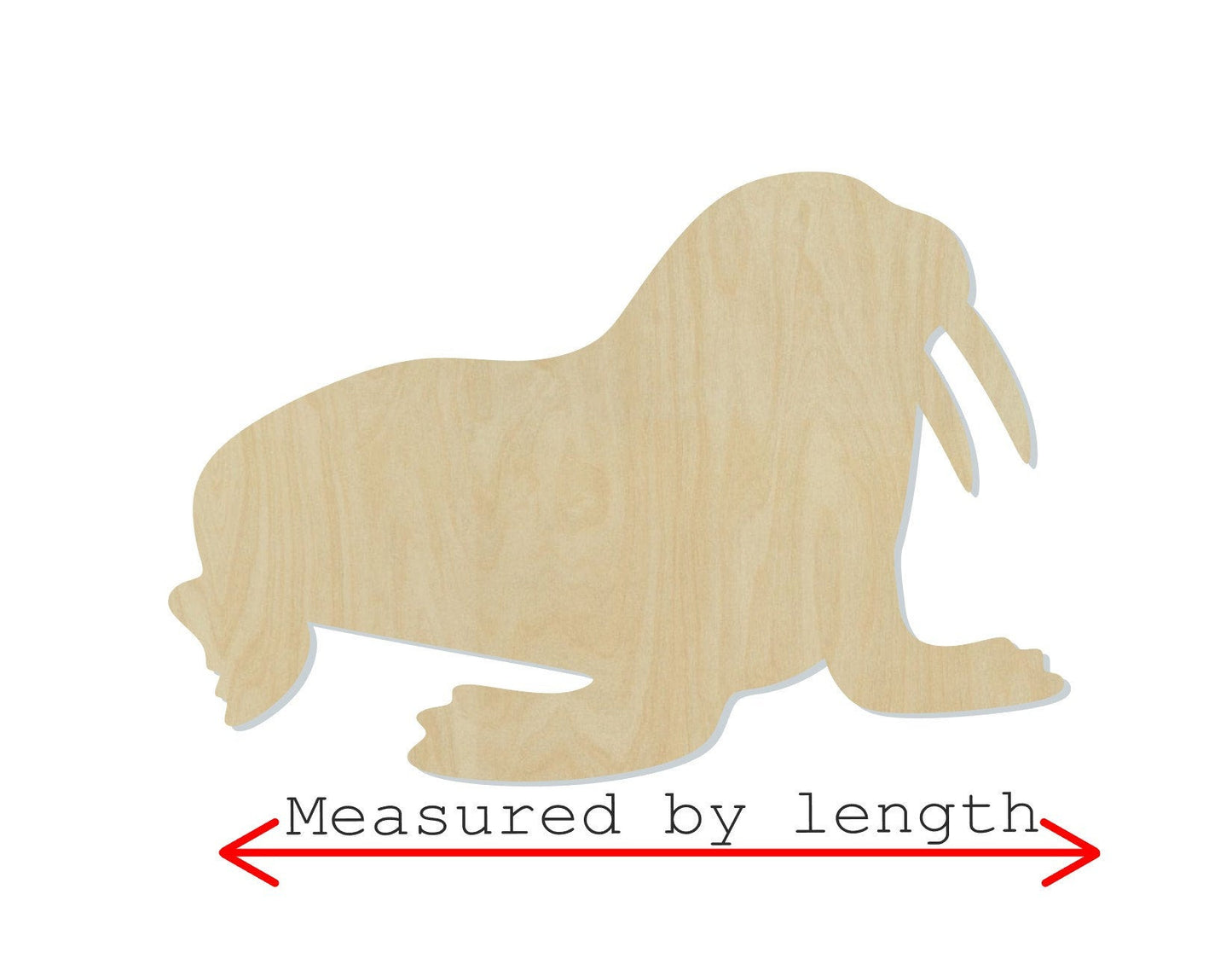 Walrus Wood Cutouts DIY Paint Ocean animals sea life Beach #2171 - Multiple Sizes Available - Unfinished wood Cutout Shapes