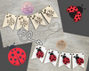 Lady Bug Bunting | Banner |  Lady Bug Decor | Summer Crafts | Summertime | DIY Craft Kits | Paint Party Supplies | #3807