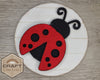 Lady Bug Round | Summer Decor | Summer Crafts | DIY Craft Kits | Paint Party Supplies | #2606