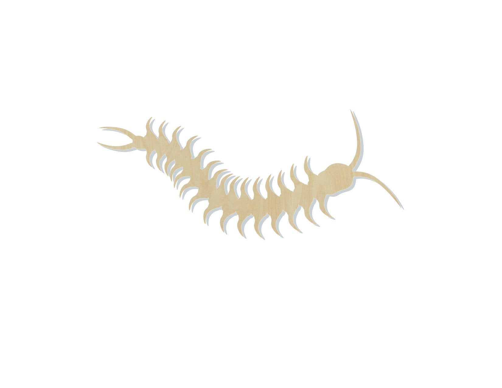 Centipede blank wood cutouts Animal cutouts Animal Blank Farm #1275 - Multiple Sizes Available - Unfinished Wood Cutout Shapes