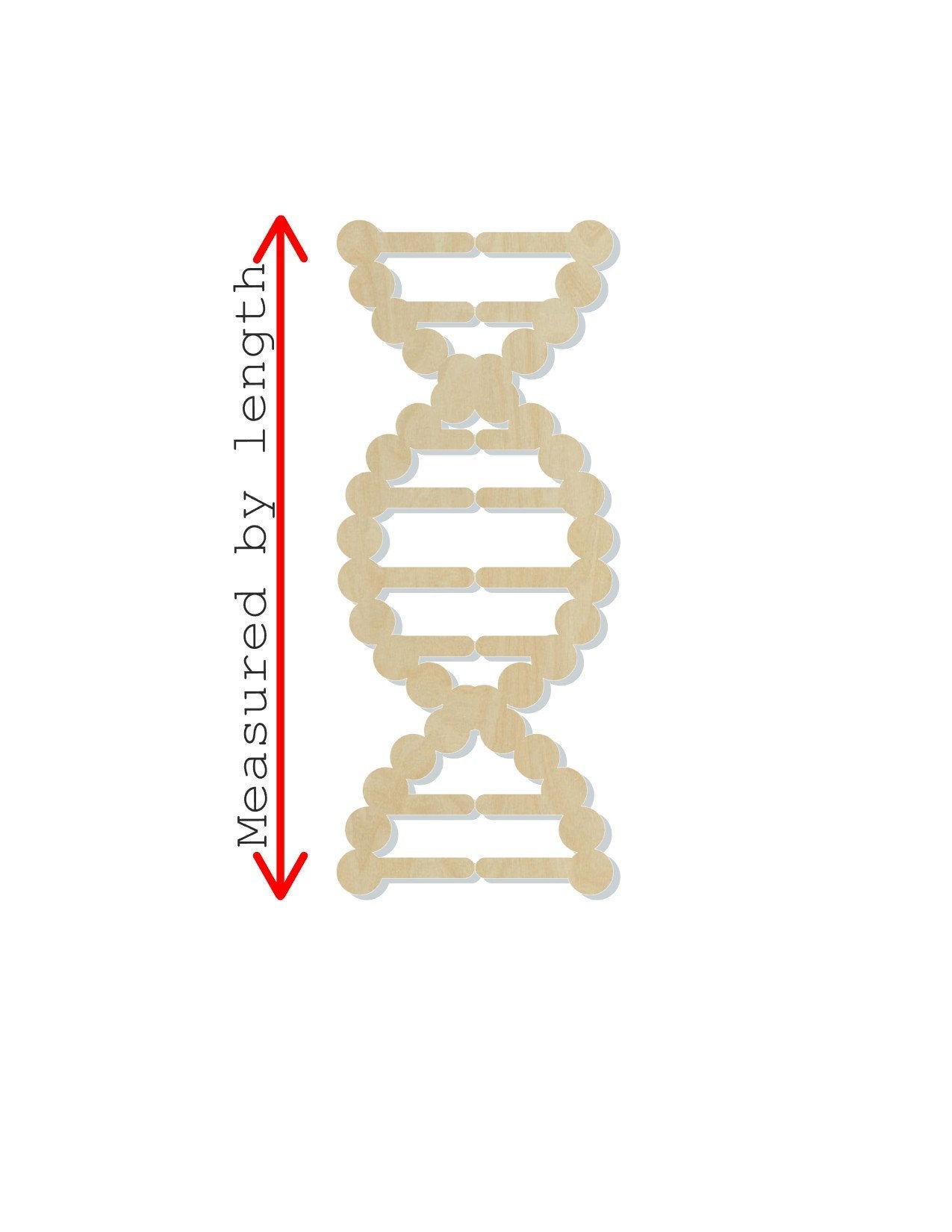 DNA Family History Paint kit wood blank cutouts DIY paint yourself #1380 - Multiple Sizes Available - Unfinished Cutout Shapes