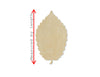 Elm Leaf Cutouts wood blank cutouts Fall colors Fall Leaves Fall time DIY Paint #1441 - Multiple Sizes Available - Unfinished Cutout Shapes