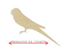 Parakeet wood shape wood cutouts birds bird cutouts DIY paint kit #1823 - Multiple Sizes Available - Unfinished Wood Cutout Shapes