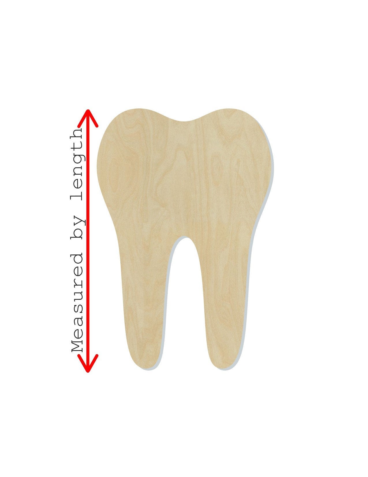 Tooth wood shape wood cutouts Tooth Fairy Dentist DIY Paint kit #2105 - Multiple Sizes Available - Unfinished Wood Cutout Shapes