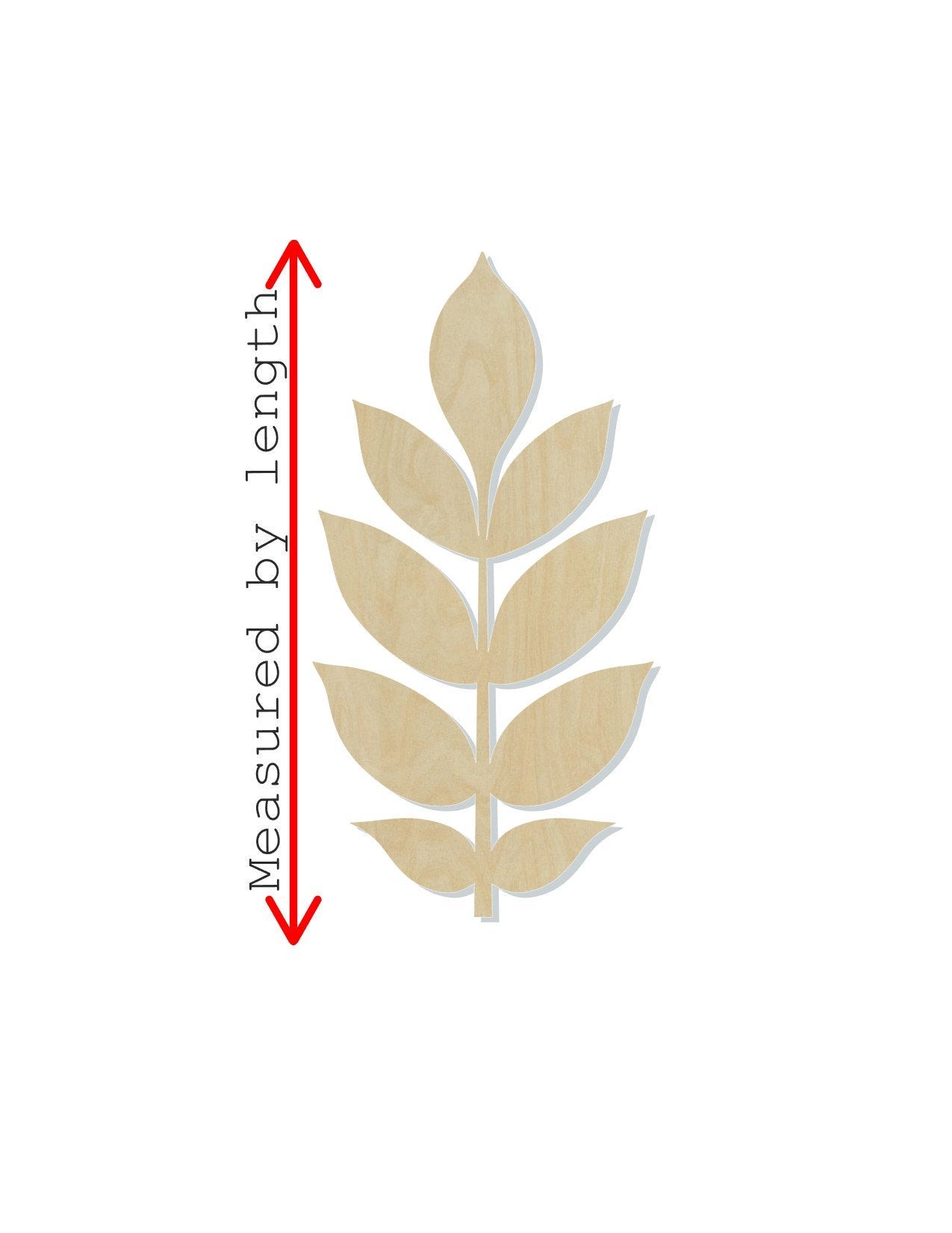 Ash Leaf Wood Blank Cutout Fall Time Fall Colors Fall Leaves #1167 - Multiple Sizes Available - Unfinished Wood Cutout Shapes