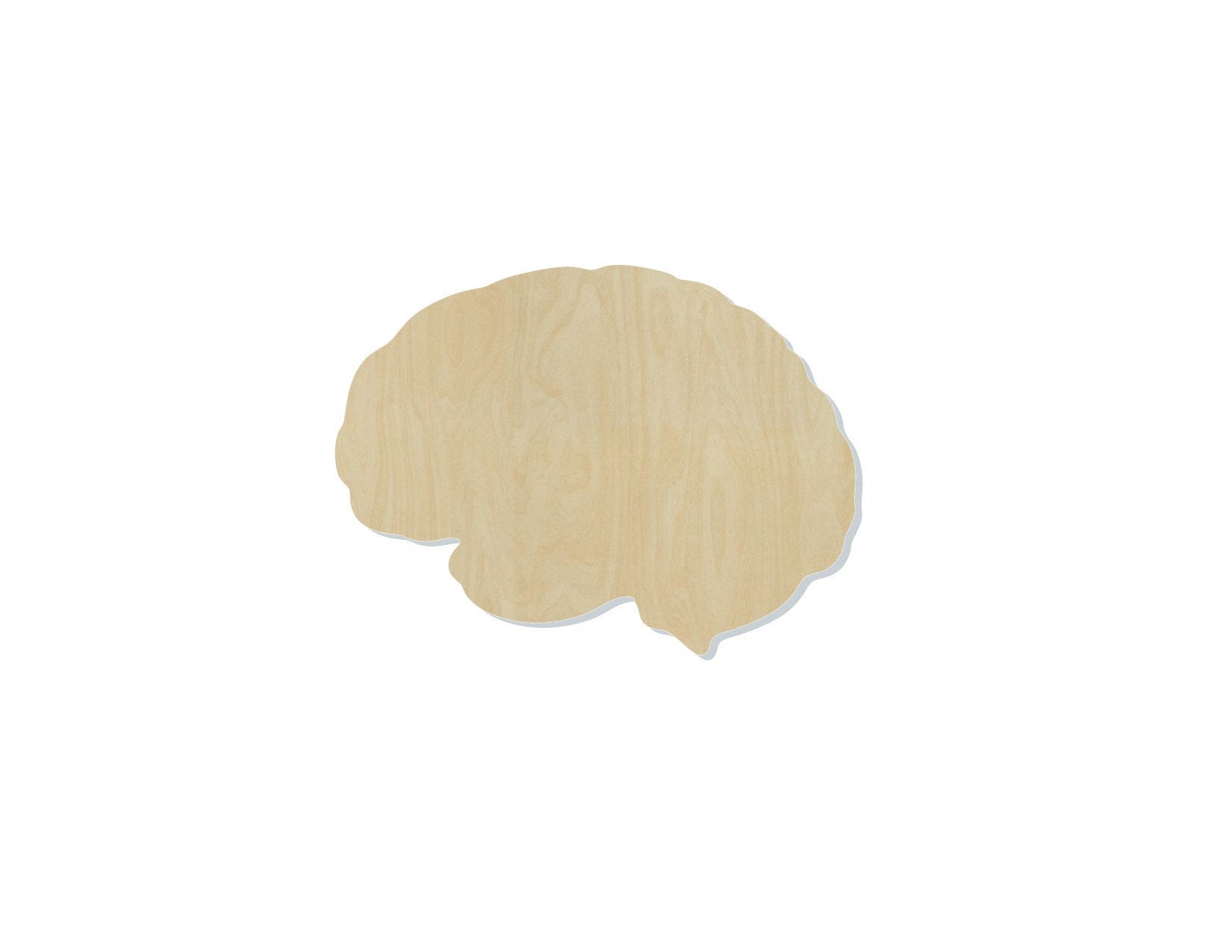 Brain Blank Cutout wood Science Halloween #1218 - Multiple Sizes Available - Unfinished Wood Cutout Shapes