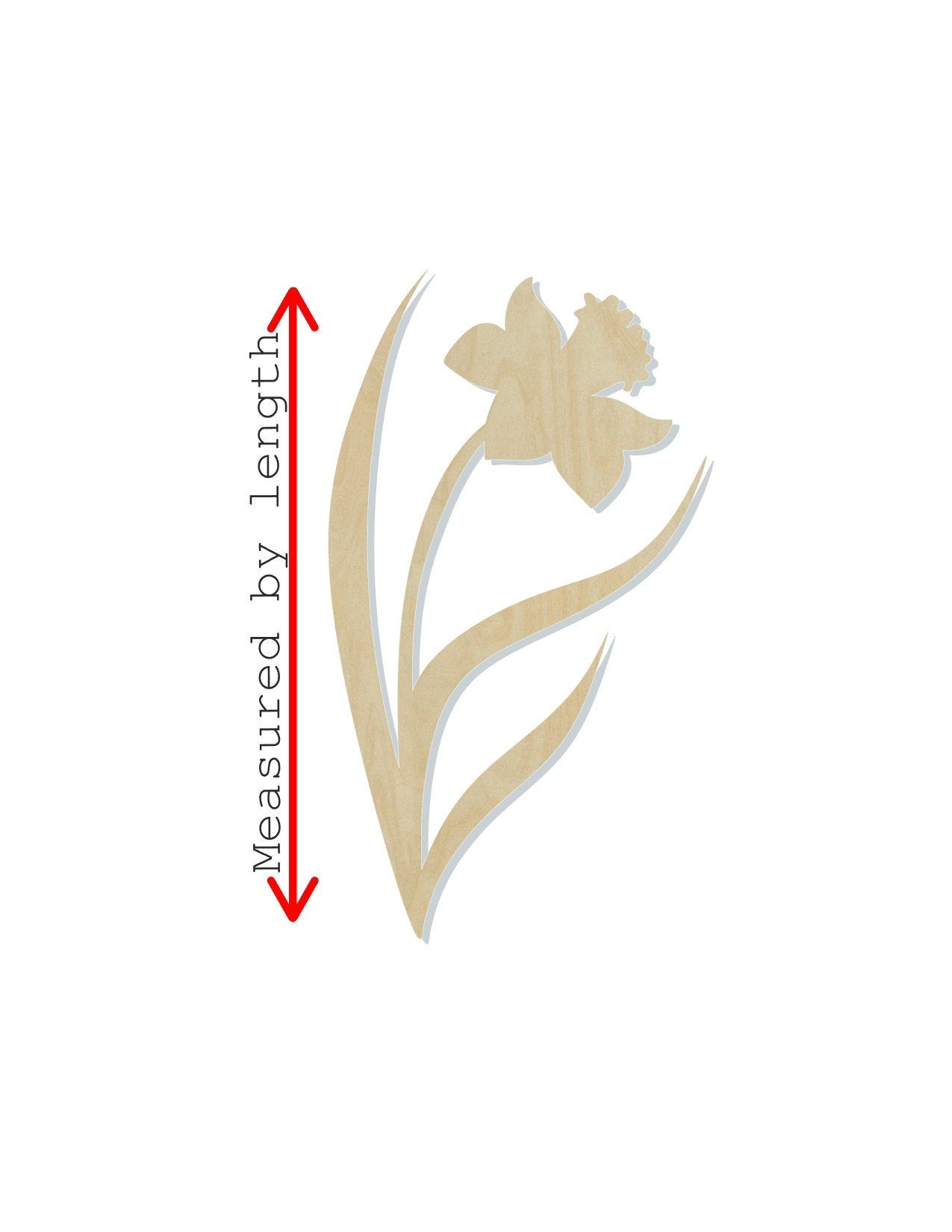 Daffodil flower garden mothers day DIY Paint kit color yourself #1359 - Multiple Sizes Available - Unfinished Cutout Shapes