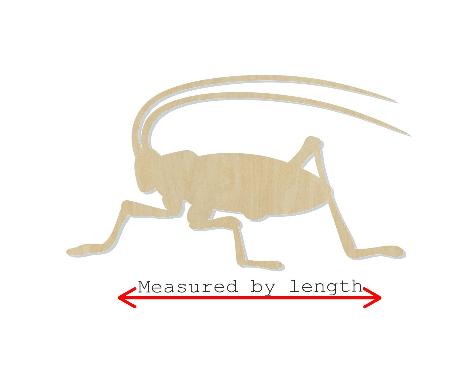 Cricket cutout bugs DIY paint kit Paint yourself zoo animals #1393 - Multiple Sizes Available - Unfinished Cutout Shapes