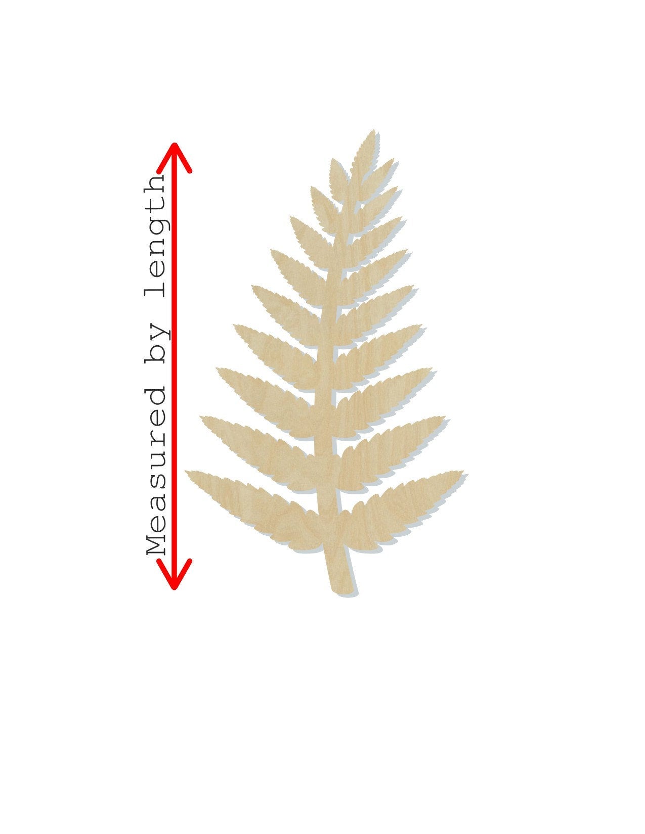 Fern Plant wood cutouts Garden Flowers DIY Paint kit paint yourself #1458 - Multiple Sizes Available - Unfinished wood Cutout Shapes