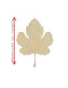 Fig Leaf Plant wood cutouts Flowers Fall colors Fall time Fall Leaves DIY #1460 - Multiple Sizes Available - Unfinished wood Cutout Shapes