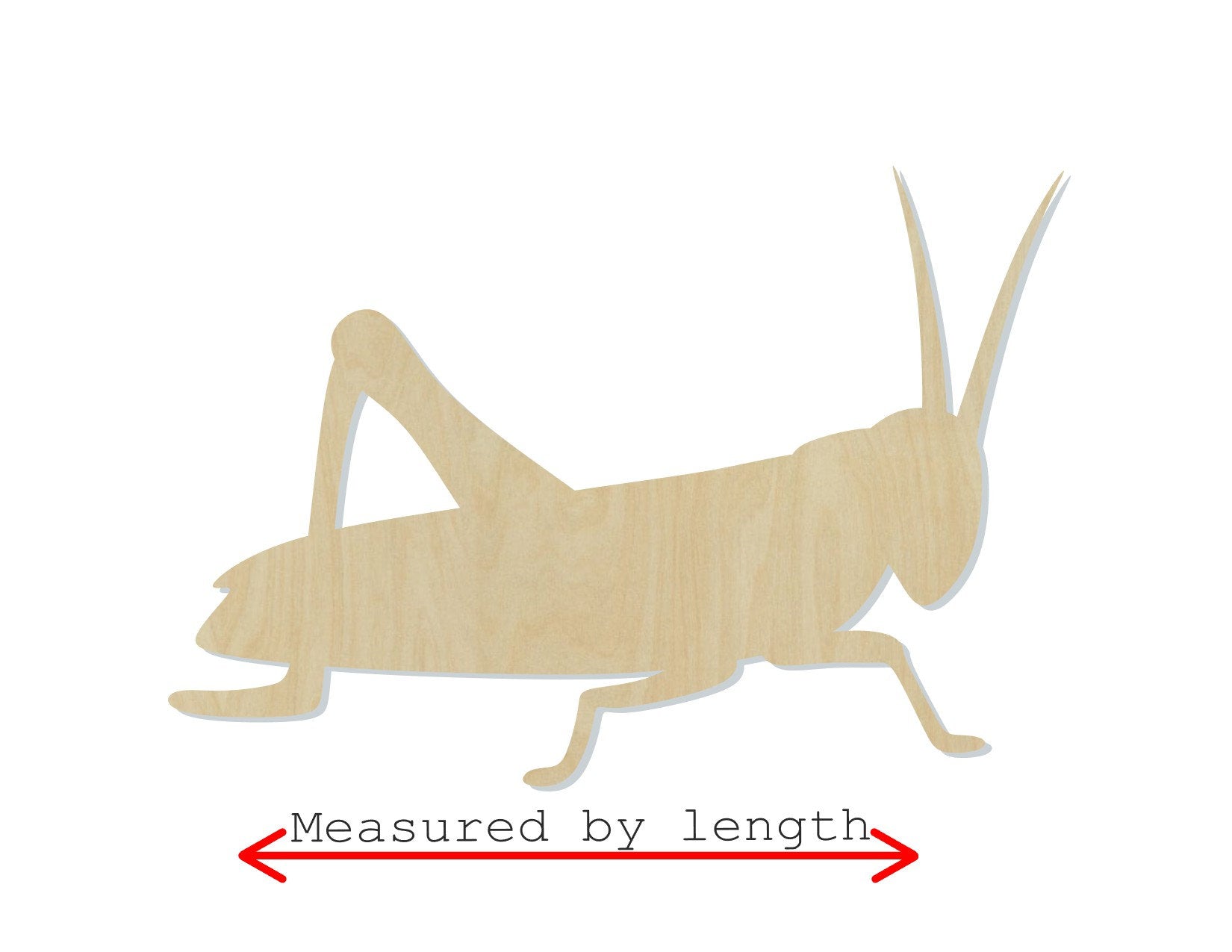 Grasshopper wood cutout bugs animal shapes animal cutouts DIY Paint kit #1552 - Multiple Sizes Available - Unfinished wood cutouts shapes