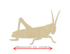 Grasshopper wood cutout bugs animal shapes animal cutouts DIY Paint kit #1552 - Multiple Sizes Available - Unfinished wood cutouts shapes