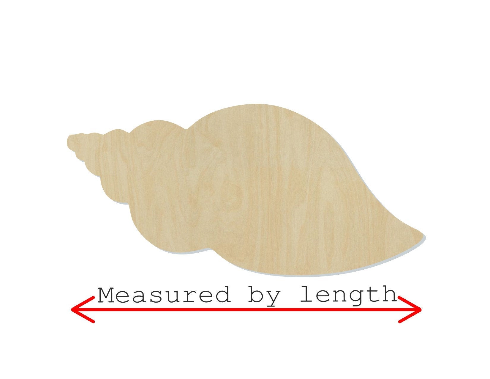 Sea Shell wood shape wood cutouts DIY paint kit Sea Shells Beach Ocean #1978 - Multiple Sizes Available - Unfinished Wood Cutout Shapes
