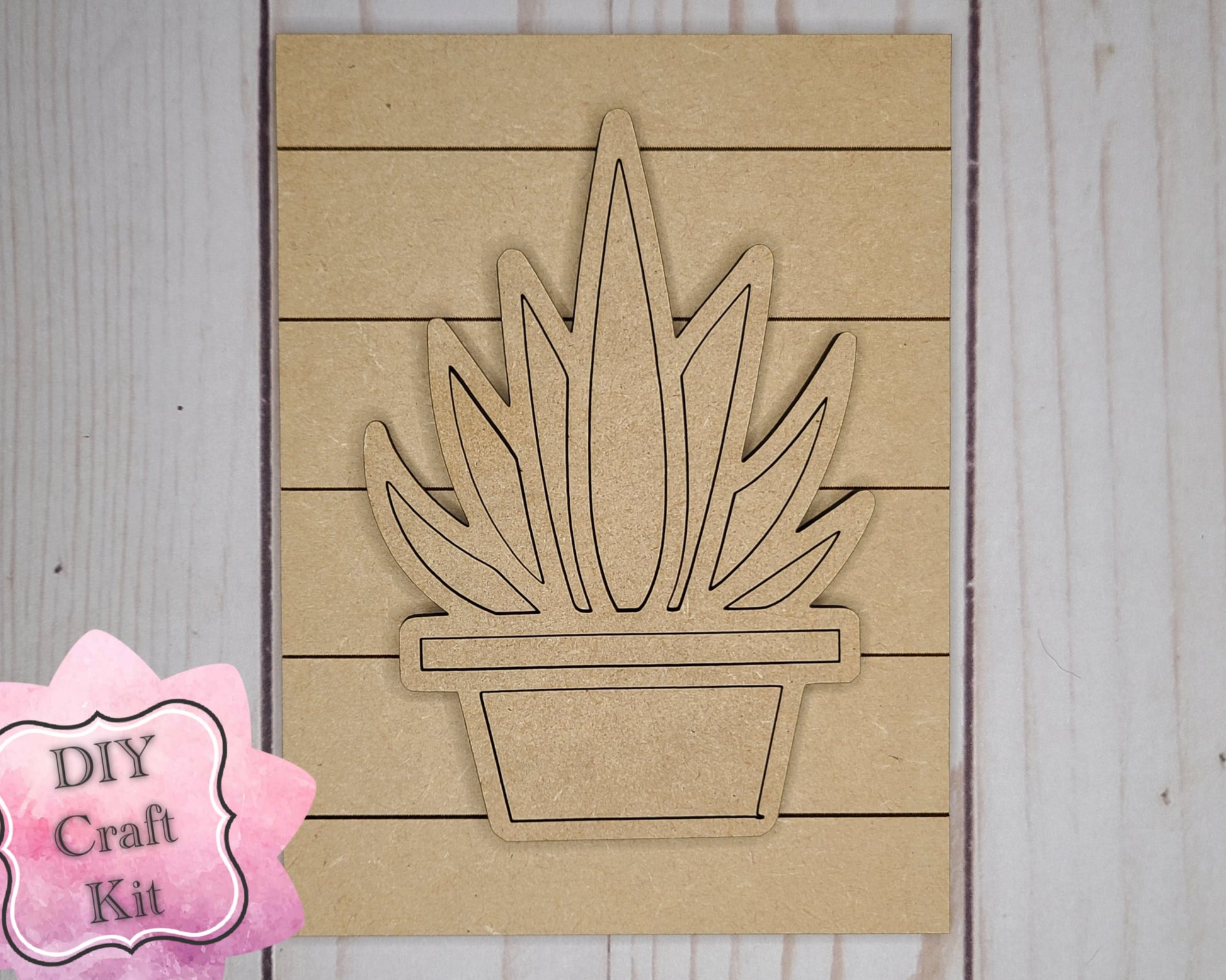 succulent craft kit Succulent